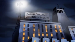 Animal Shelter