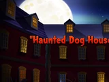 Haunted Dog House