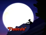 Flunicula