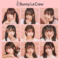 What's Bunny Crew
