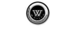 Watson Logo Dual