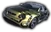 616ArachnoSport