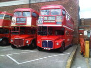 A pair of Metroline Routemasters at Alperton Bus Garage