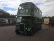 Greenline AEC Regent III RT on route 339