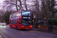 London Buses route 41