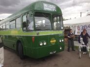 Greenline AEC Regal IV