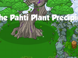 The Pahti Plant Precipice