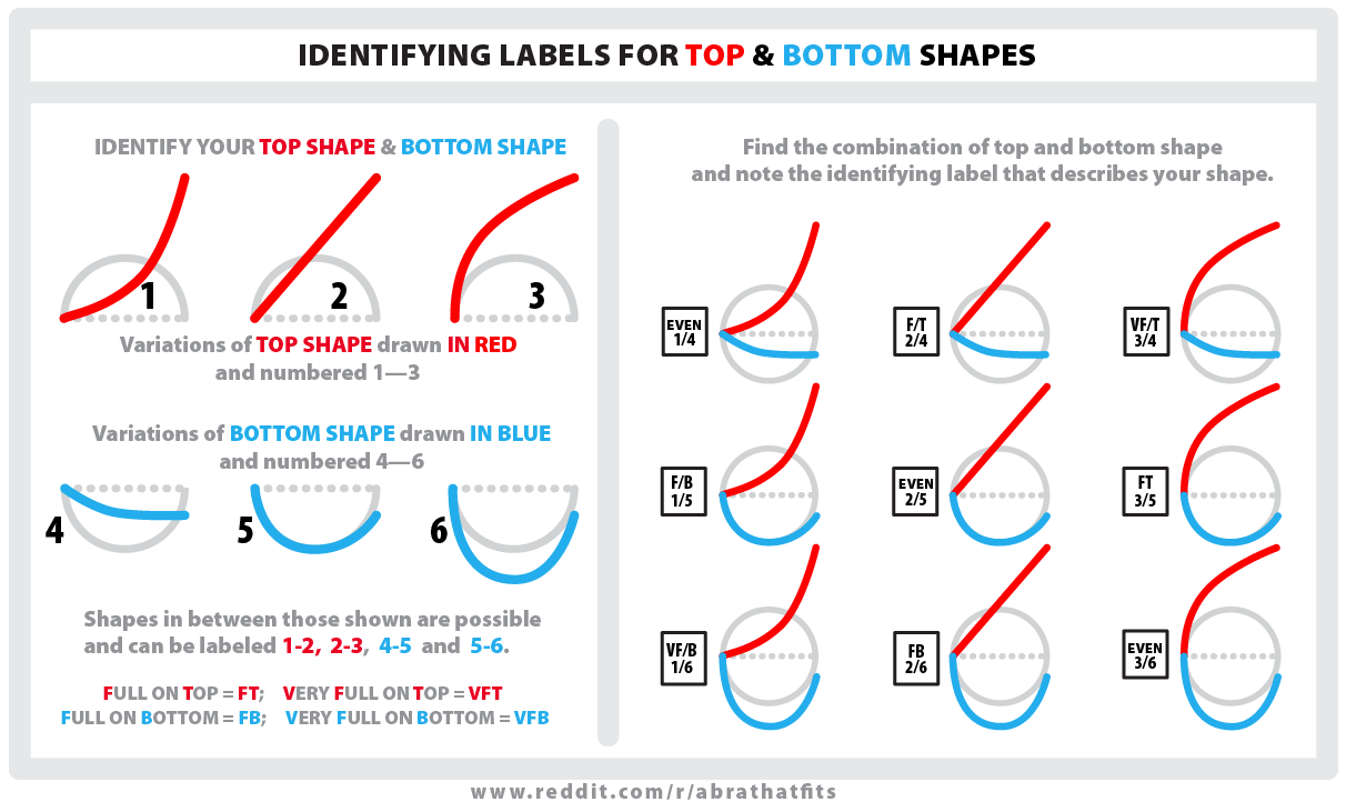 https://static.wikia.nocookie.net/bustyresources/images/3/31/Breast_shape_guide.png/revision/latest/scale-to-width-down/1212?cb=20140402170734