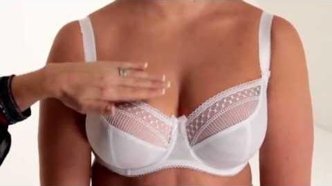 How-to tell if a bra fits, Bustyresources Wiki