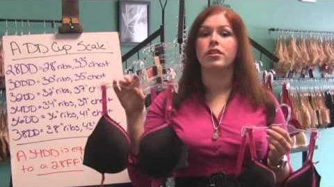 Bra Naked Truth - How Band & Cup Sizes Work