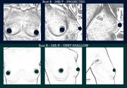 Projected vs shallow breasts, same size