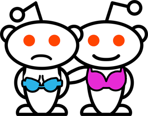 reddit bra fit