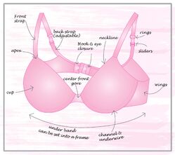 Examples of ill-fitting bras; (i) – Band not level; (ii) – Band