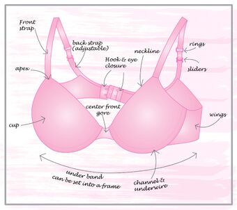 high apex bra meaning