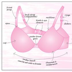 Category:Bras, Bustyresources Wiki