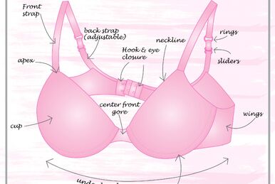 What Is A Scoop Bra?
