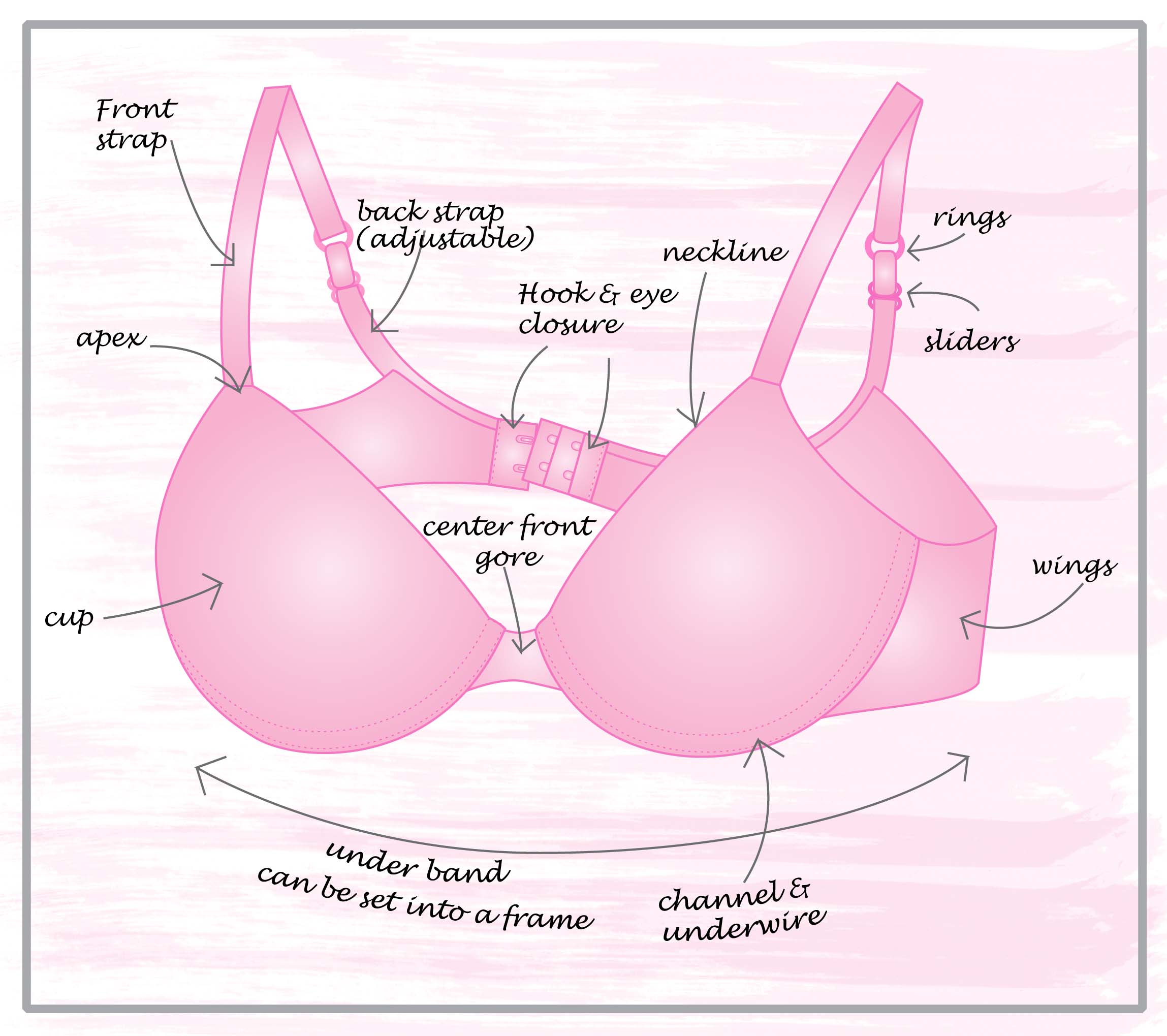 Parts of a Bra: Learn More About Bra Anatomy, Leonisa