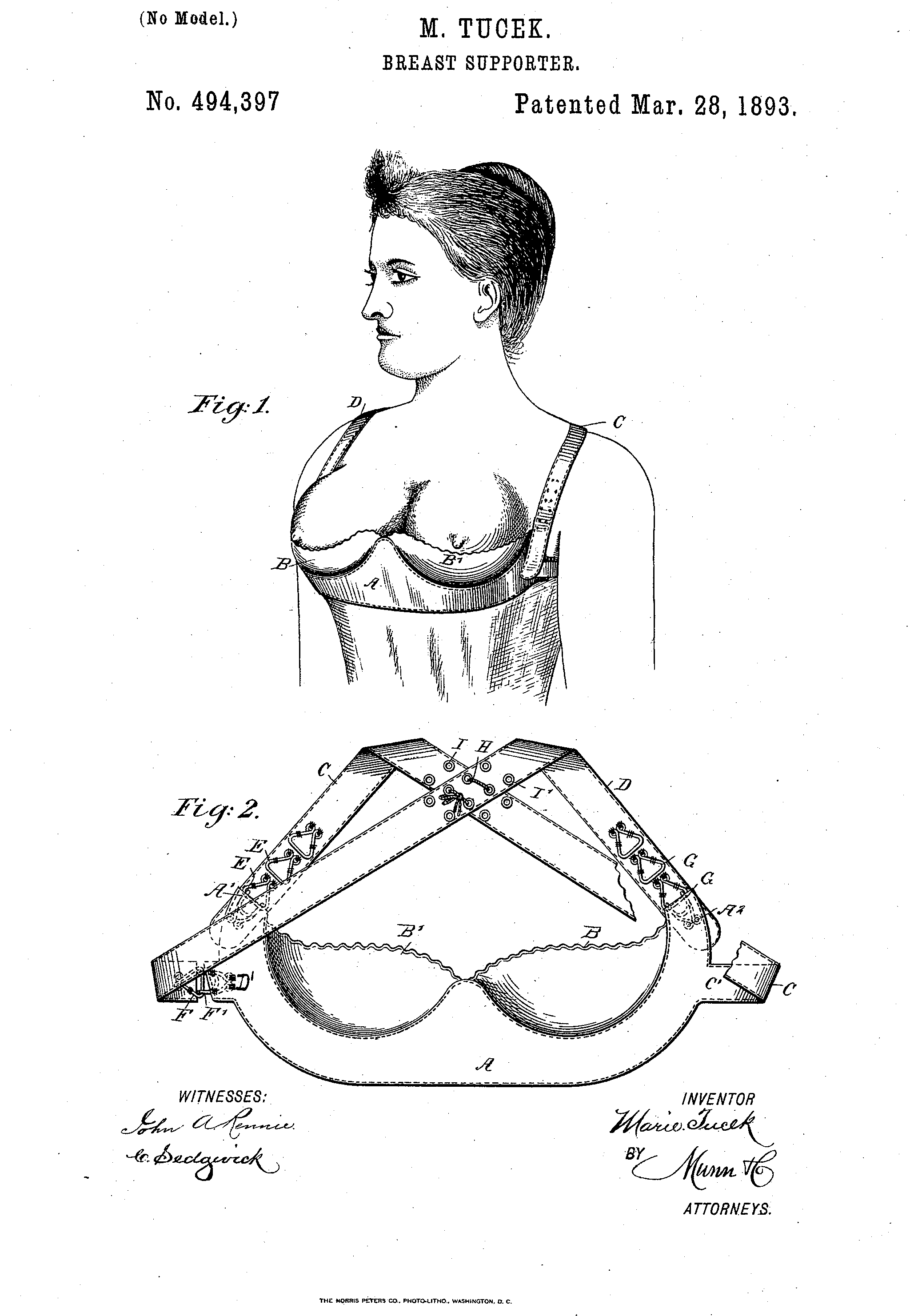 https://static.wikia.nocookie.net/bustyresources/images/c/c4/Marie-tucek-breast-supporter-bra-patent-image.png/revision/latest?cb=20140604144511