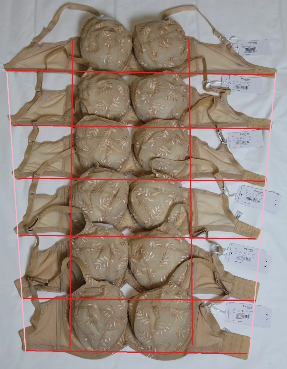 Sister size | Bustyresources Wiki | Fandom, image size:932x1200