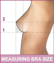 Using the accurate method, one will use only these two measurements and not add any inches.