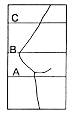 Bra-fitting method, Bustyresources Wiki