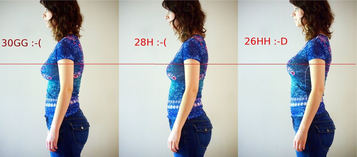 https://static.wikia.nocookie.net/bustyresources/images/e/e1/ThinAndCurvy-BraBandSizeComparison.jpg/revision/latest/scale-to-width-down/1200?cb=20120819193715