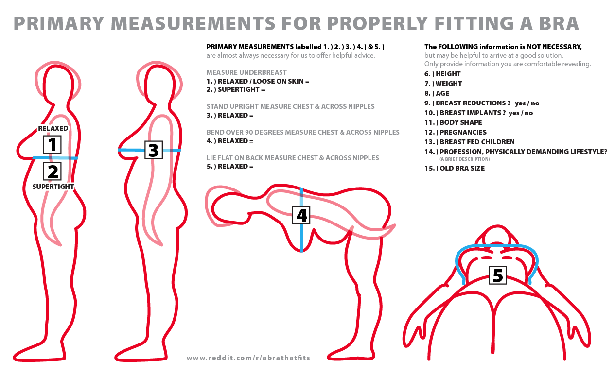 How to Find Your Bra Size: The Easy Guide  Correct bra sizing, Bra fitting  guide, Bra size guide