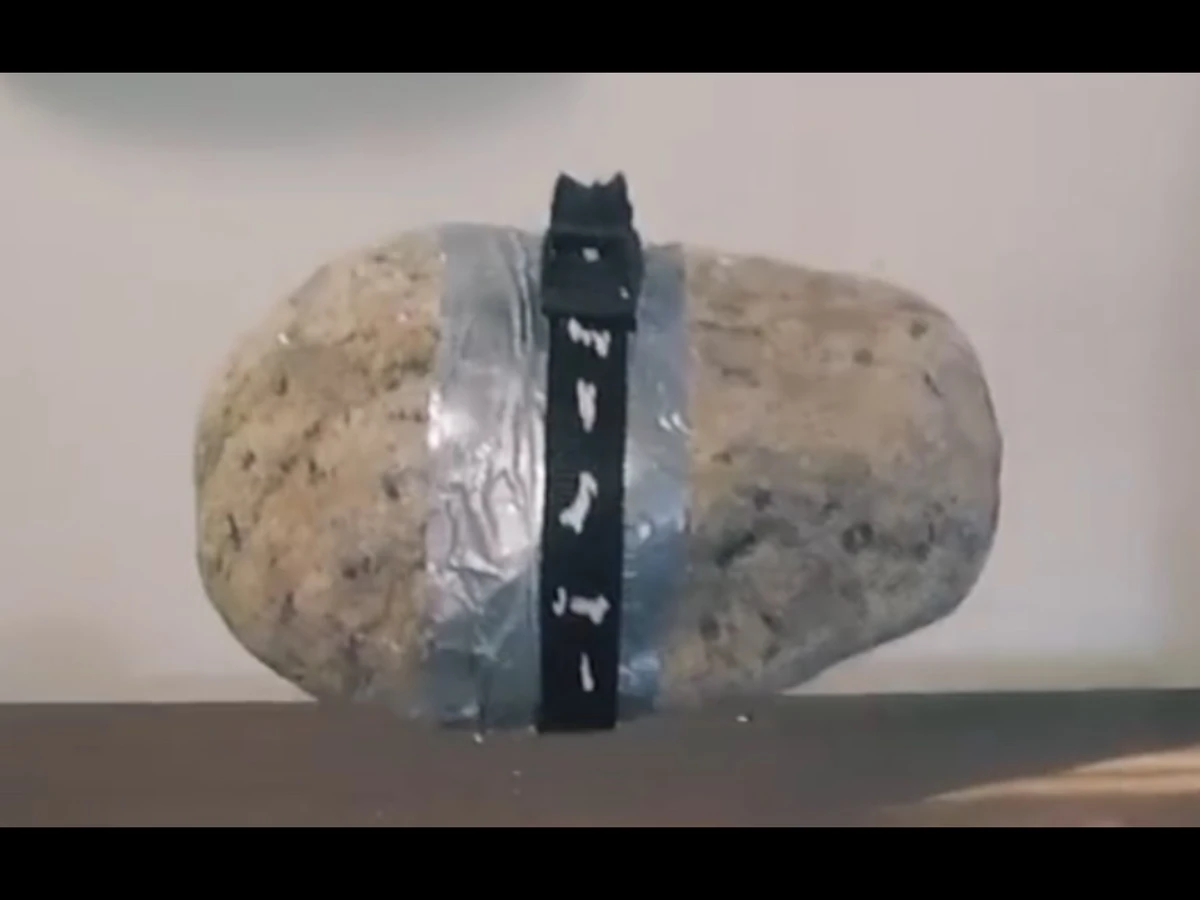 Rocky Buttered Side Down Wiki Fandom