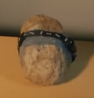 Pet Rock