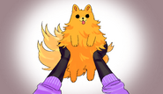 Pom
