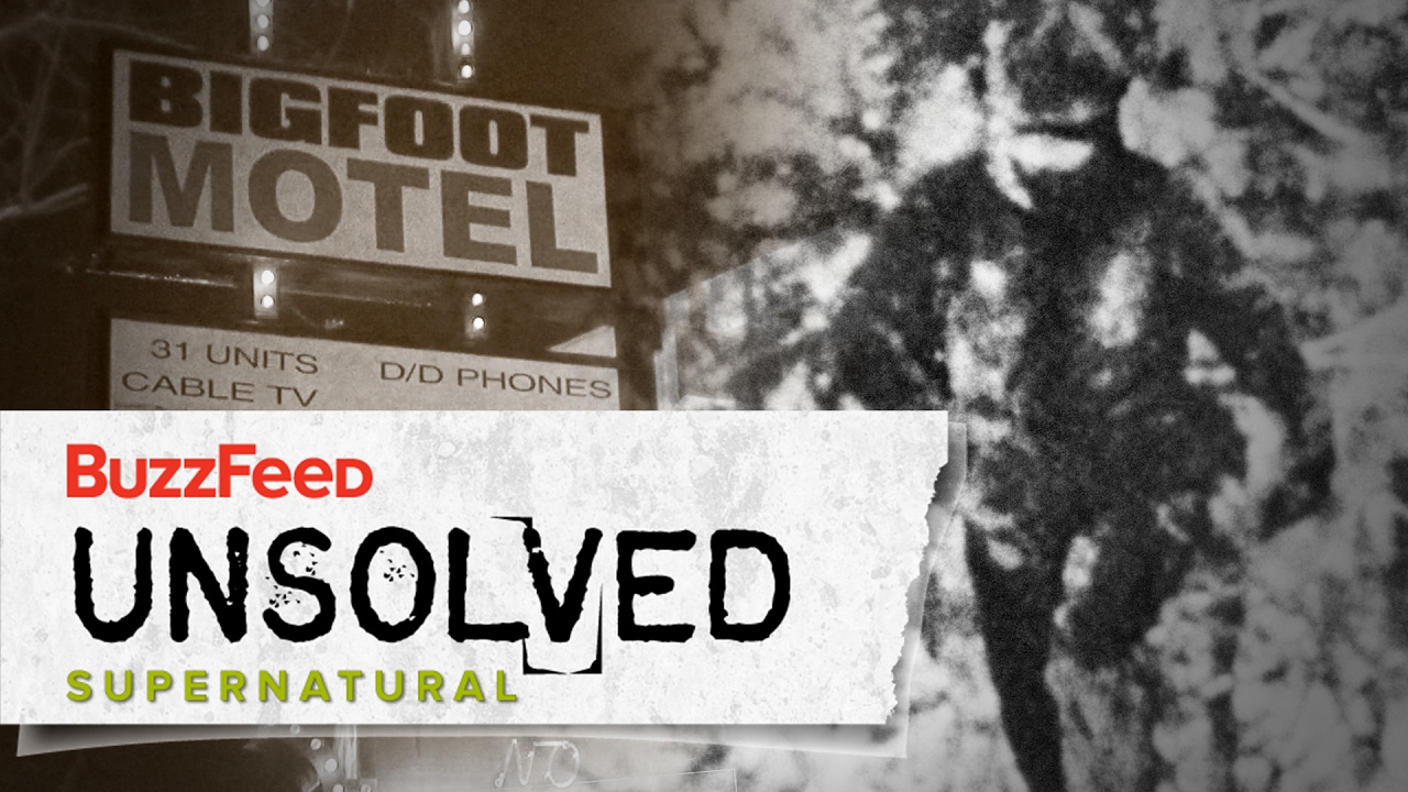 cc tinsley buzzfeed unsolved wiki cc tinsley buzzfeed unsolved wiki
