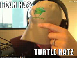 Mollyturtle