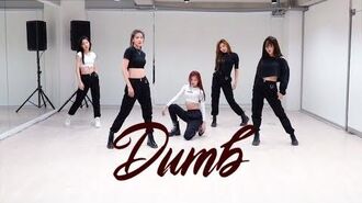 BVNDIT(밴디트) - “Dumb” Dance Practice