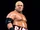Rikishi