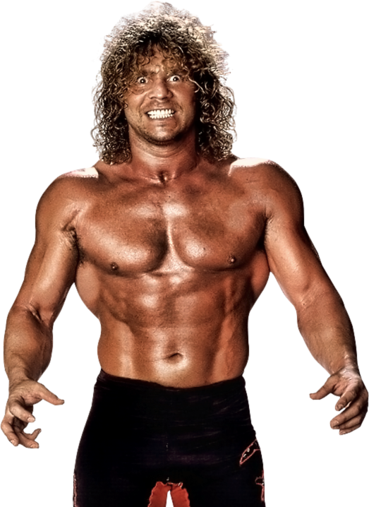 TOPPS WWE WCW 4 FLYING BRIAN PILLMAN WRESTLING CARDS FROM