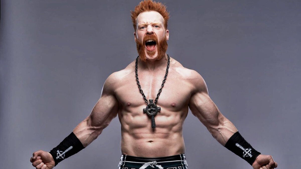 On 13 November 2006, Sheamus and Wade Barrett appeared on the&...