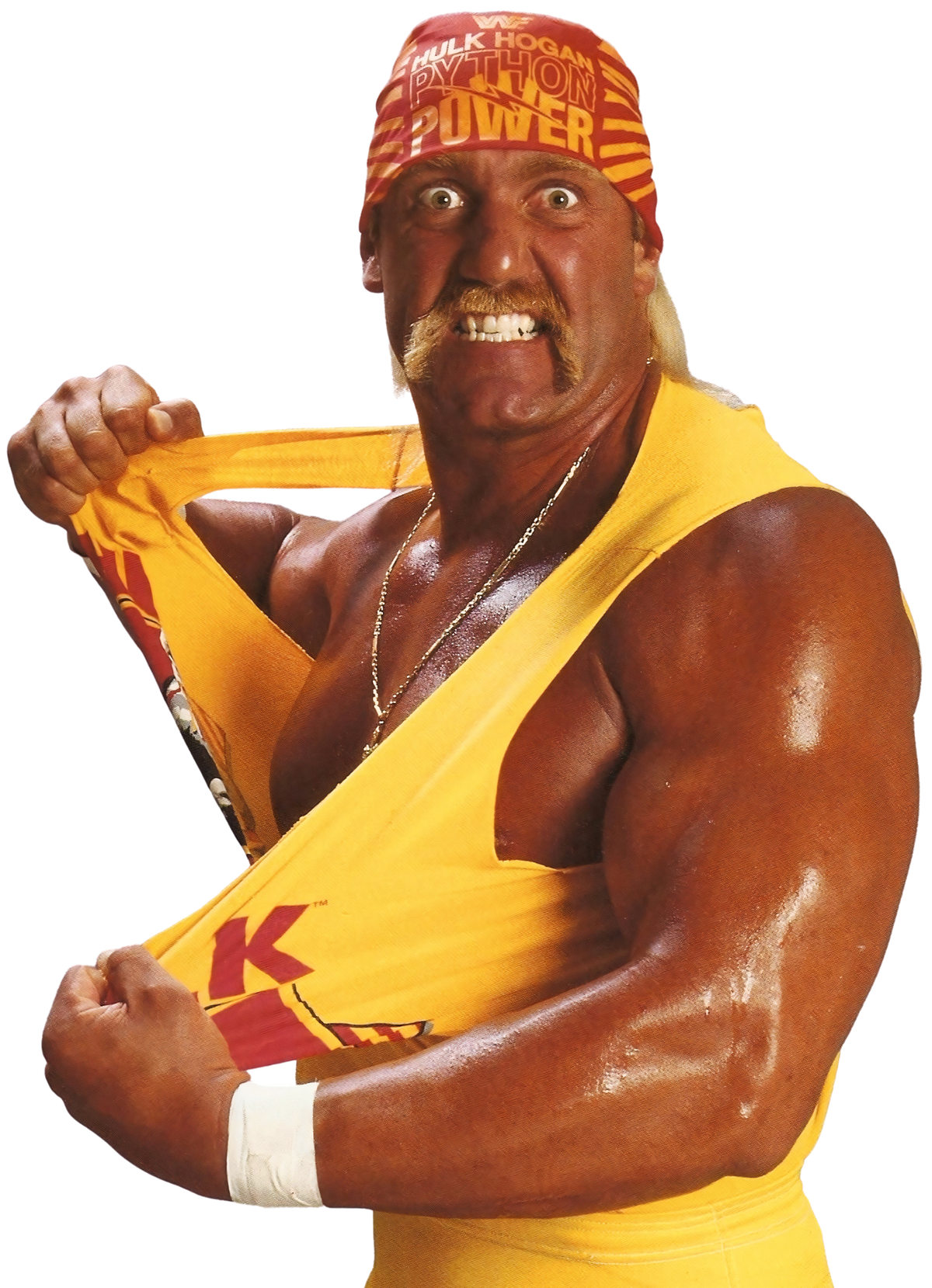 Hulk Hogan – Wikipédia, a enciclopédia livre