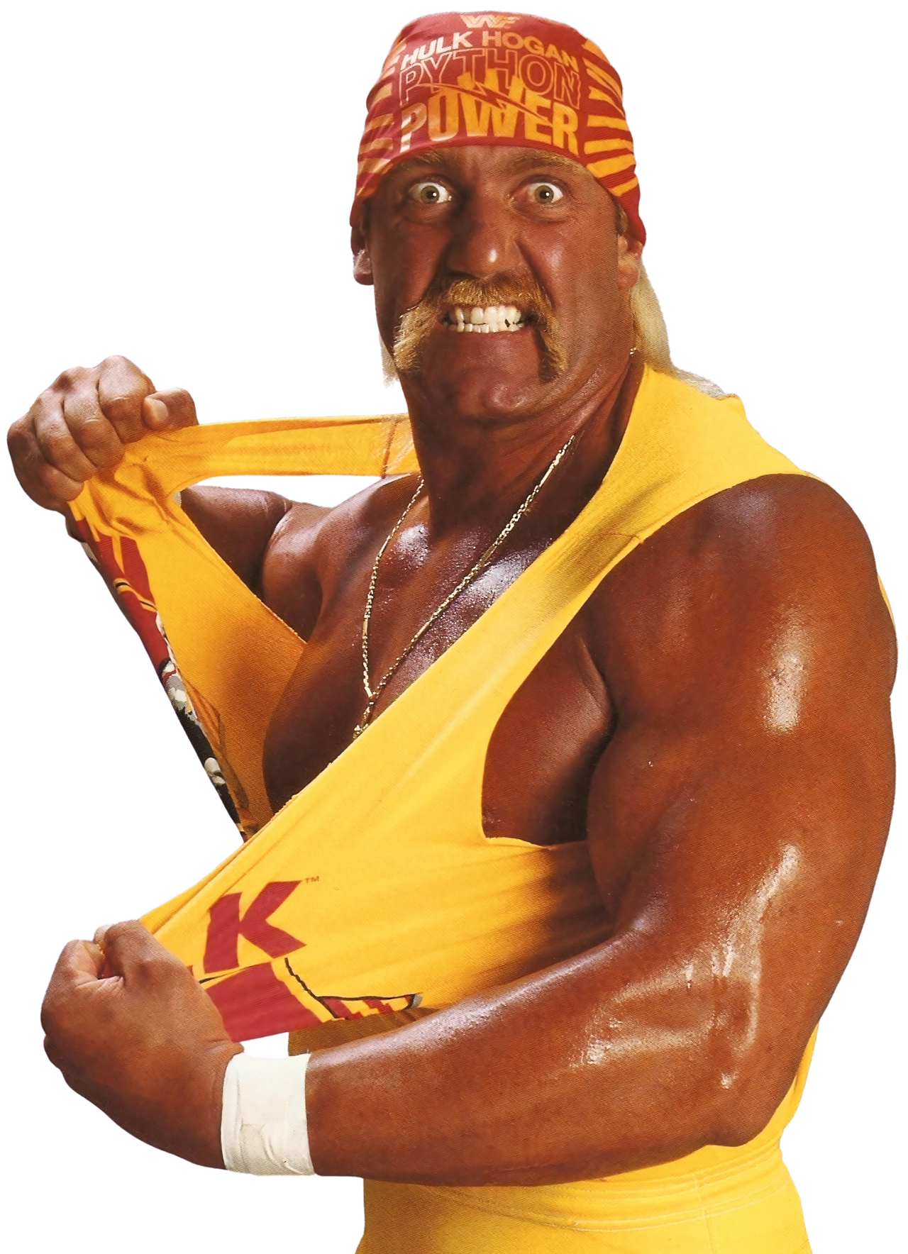 Hulk Hogan, Pro Wrestling Wiki