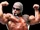 Scott Steiner