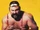 Rick Steiner