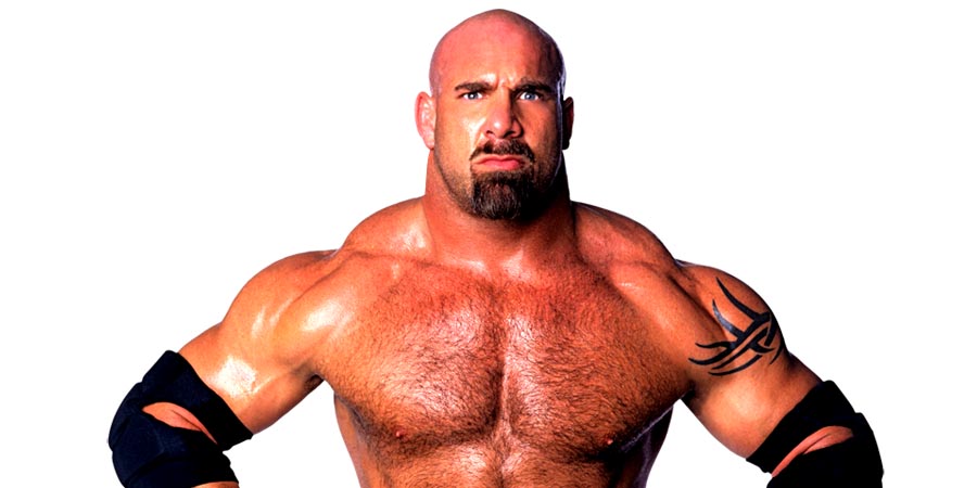 Slam! Bam! Goldberg! Bill Goldberg is the WCW's hottest star, but