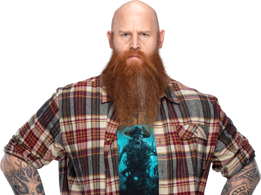 Роуэн бетьеман. Рован Рестлер. Erick Rowan 2014. WWE рыжий.