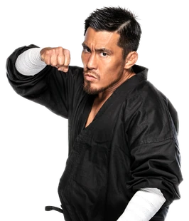 Akira Tozawa | BWWE Wiki | Fandom