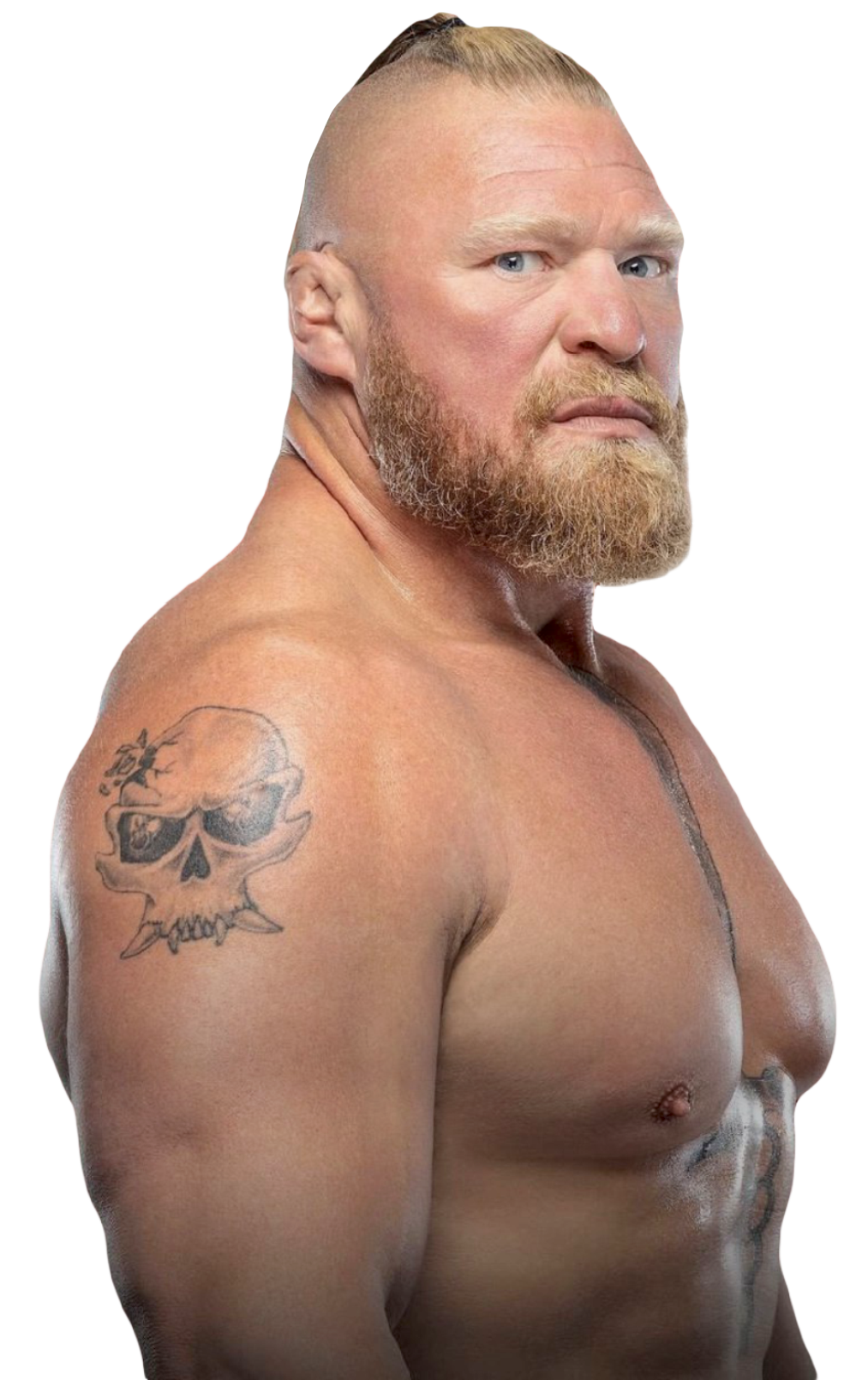 Brock Lesnar PNG/RENDER WWE 2021 by V-Mozz on DeviantArt