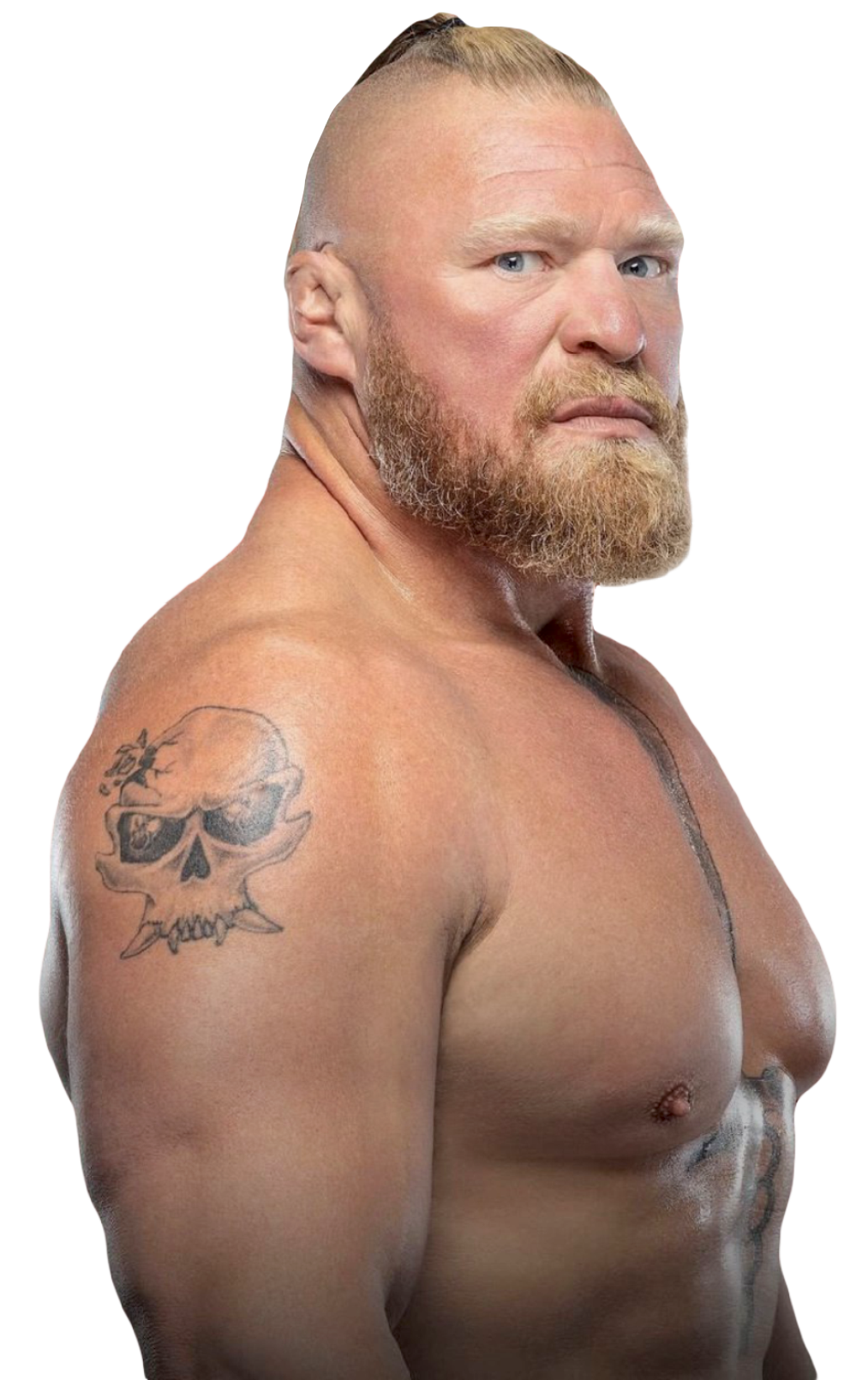 brock lesnar wwe world heavyweight champion 2022