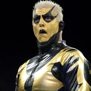 Goldust Bwwe Wiki Fandom