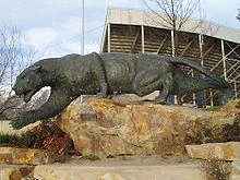 BYU cougar Statue cosmo cougar кто такой
