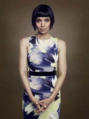 Tamara Taylor, who portrays Dr. Camille Saroyan in the television