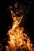 Dornenflamme203s Profilbild