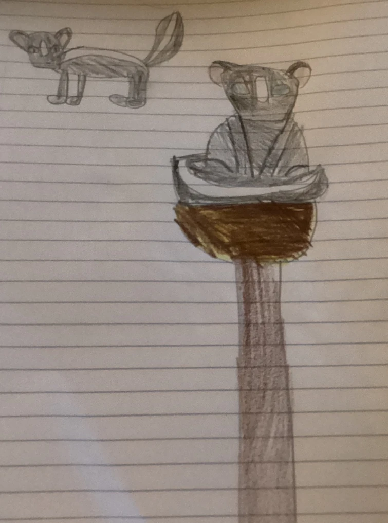 I will make a palisman for you Fandom